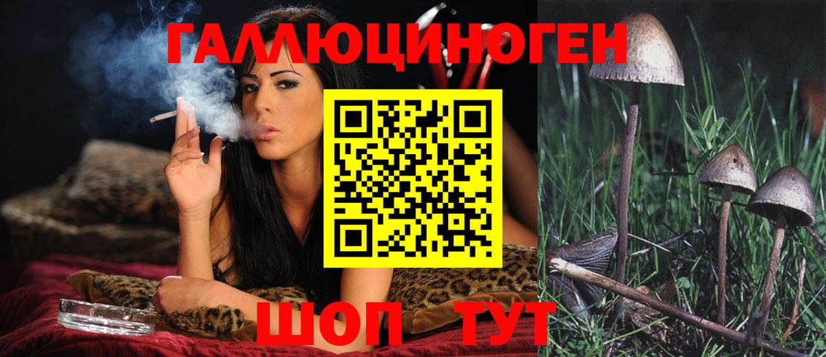 Псилоцибиновые грибы ЛСД Анжеро-Судженск